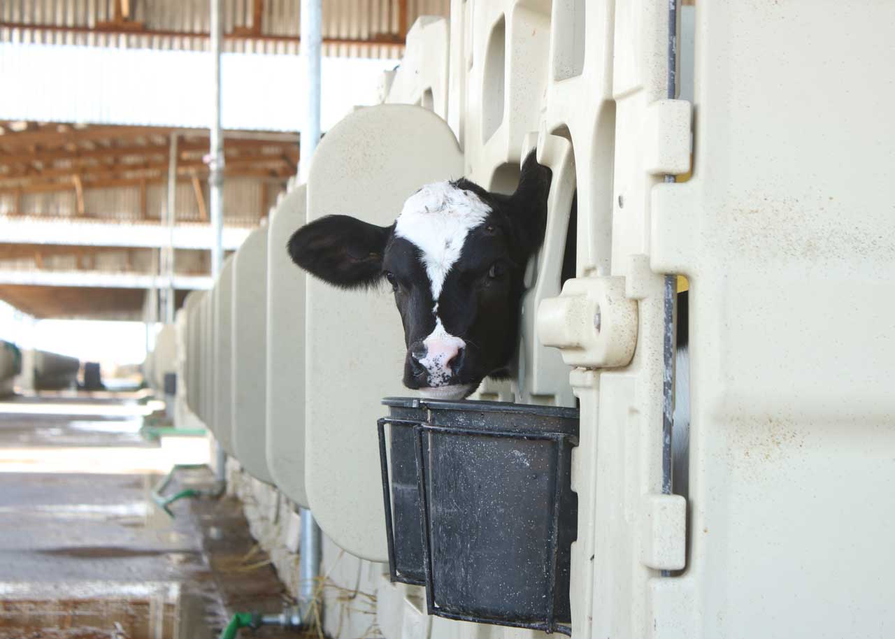 Nursery - VMS Project